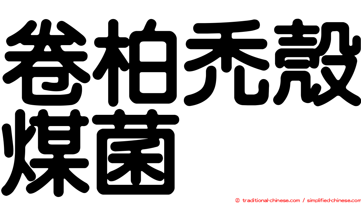 卷柏禿殼煤菌