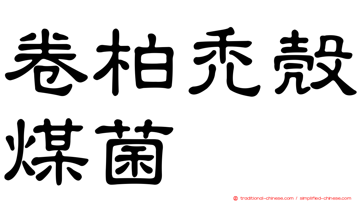 卷柏禿殼煤菌