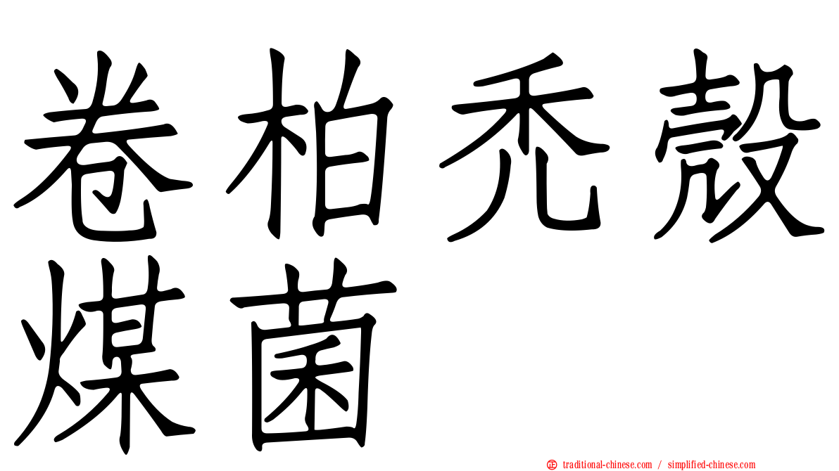 卷柏禿殼煤菌