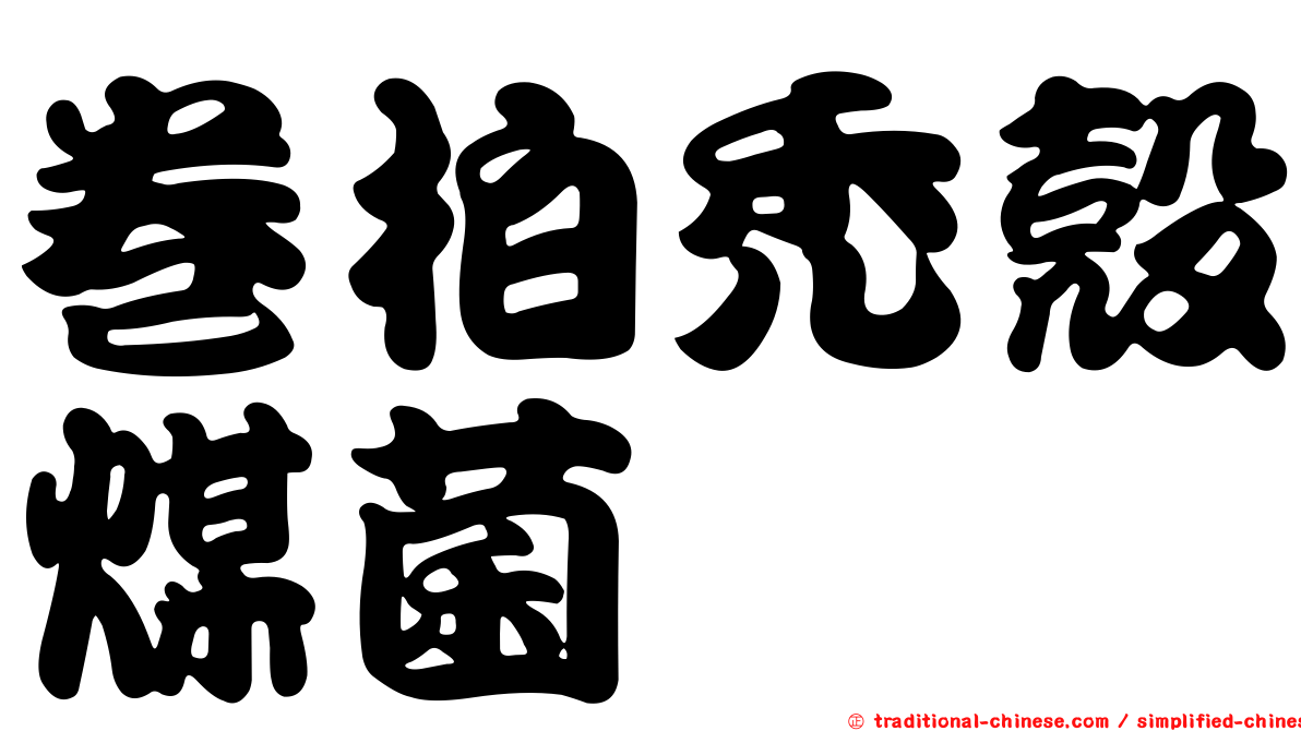 卷柏禿殼煤菌