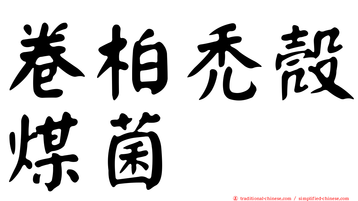 卷柏禿殼煤菌