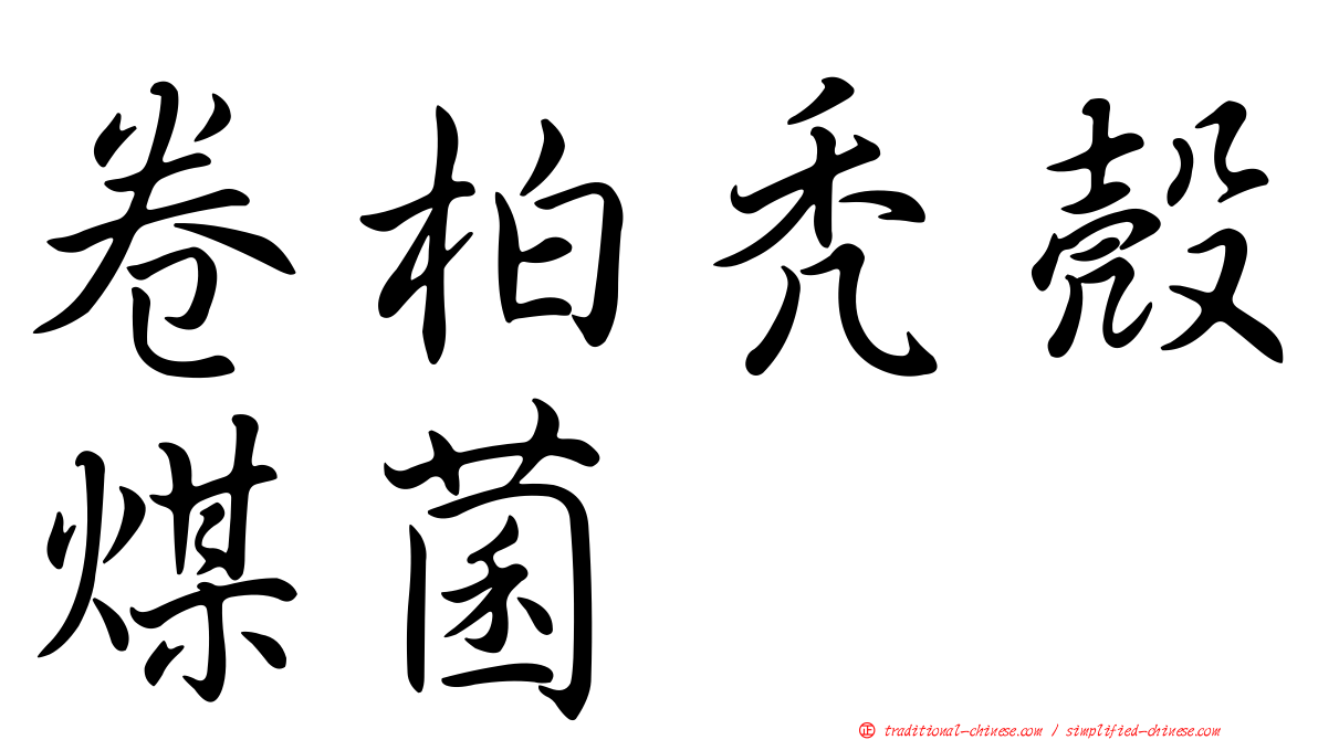 卷柏禿殼煤菌