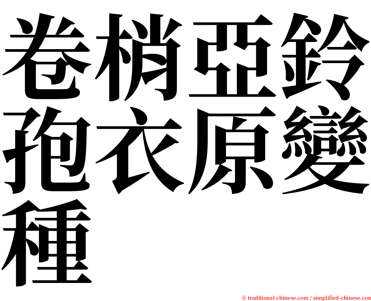 卷梢亞鈴孢衣原變種 serif font