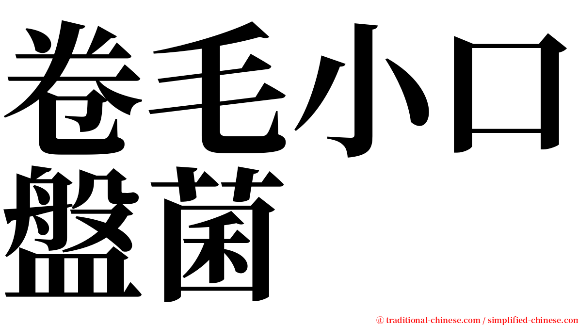 卷毛小口盤菌 serif font