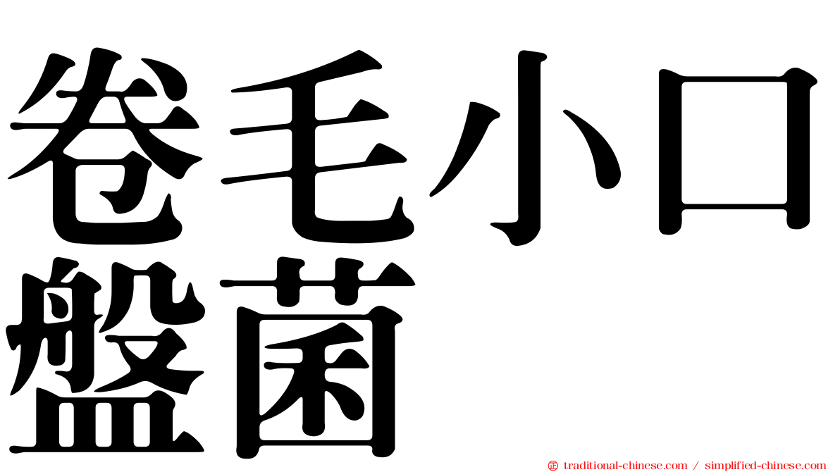 卷毛小口盤菌