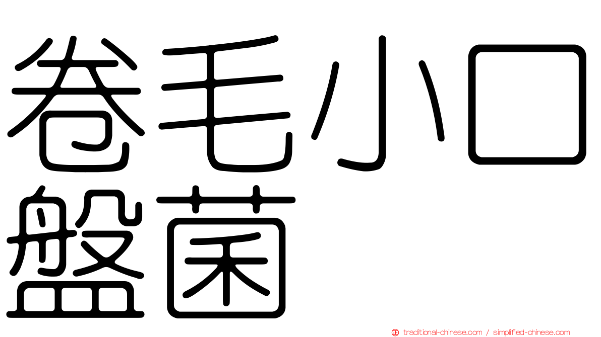 卷毛小口盤菌