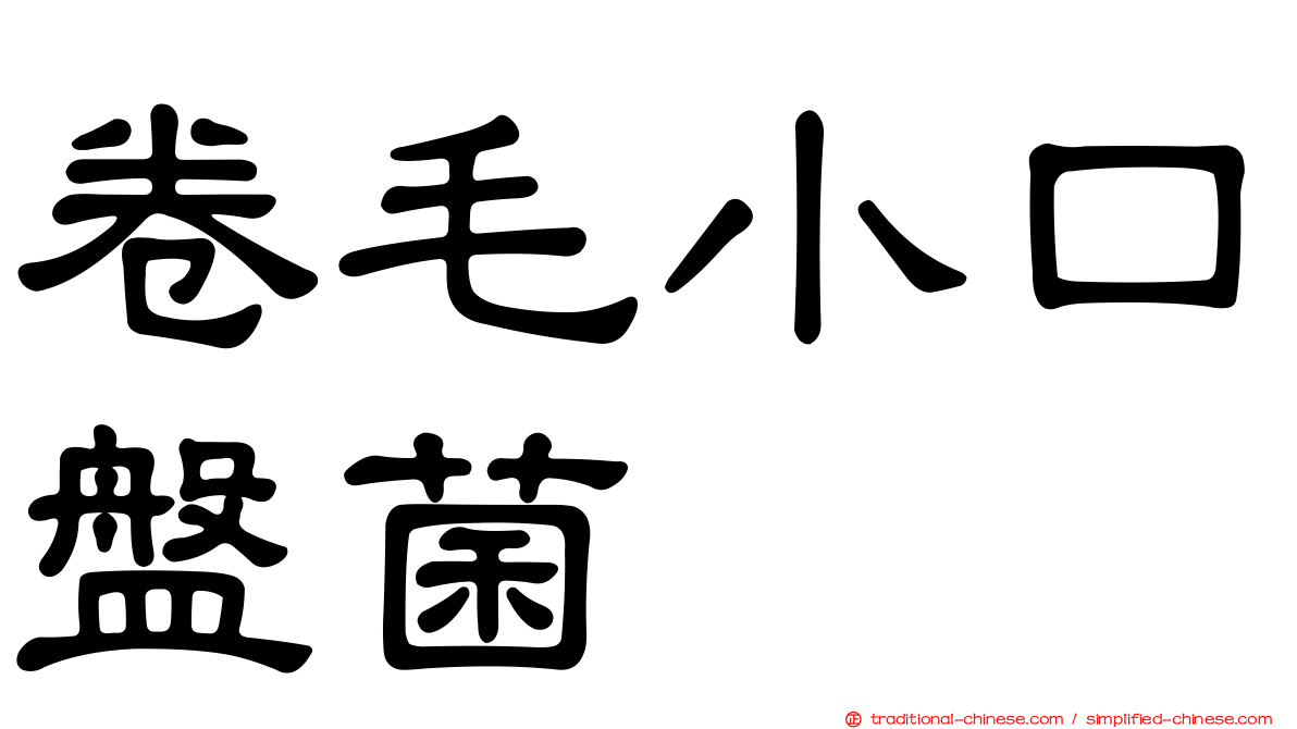 卷毛小口盤菌