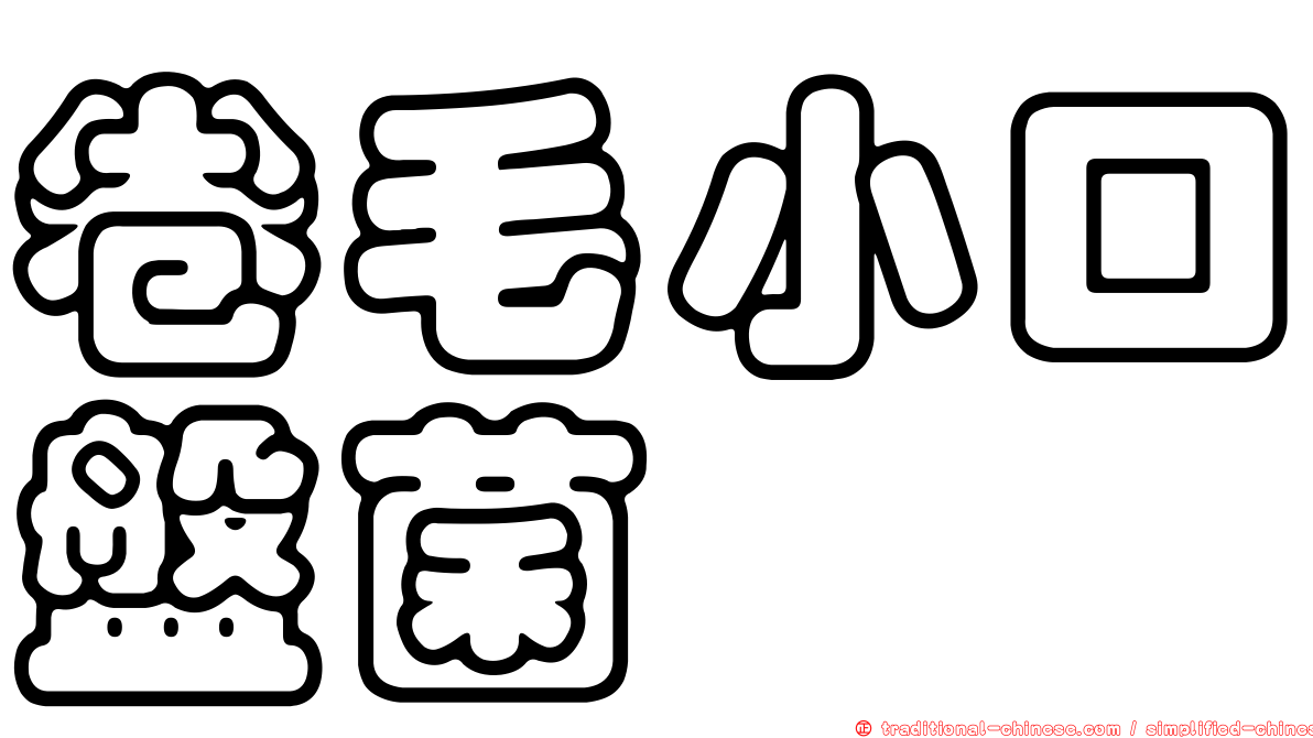 卷毛小口盤菌