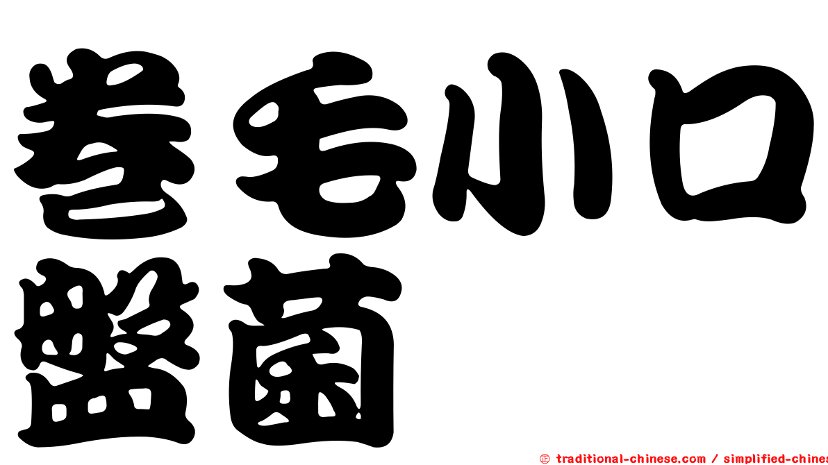 卷毛小口盤菌