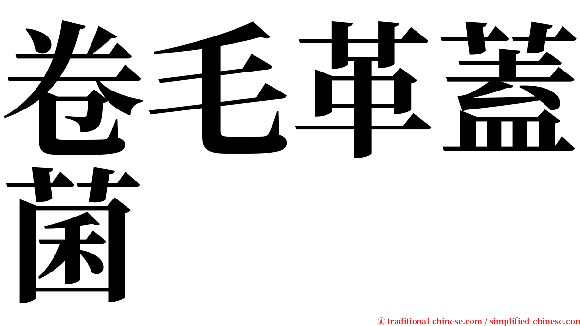 卷毛革蓋菌 serif font