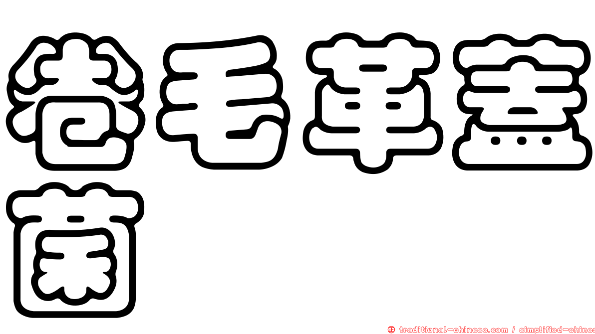 卷毛革蓋菌