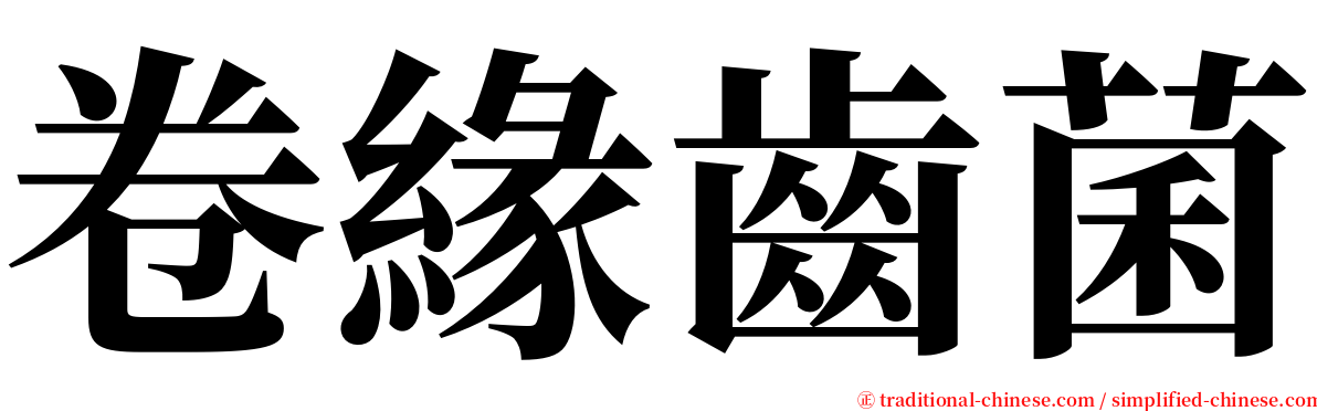 卷緣齒菌 serif font