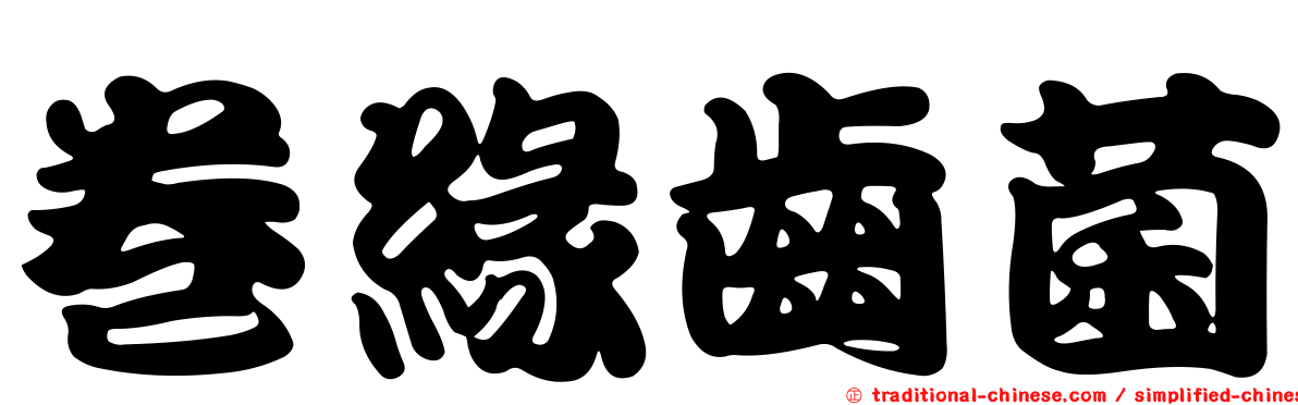 卷緣齒菌
