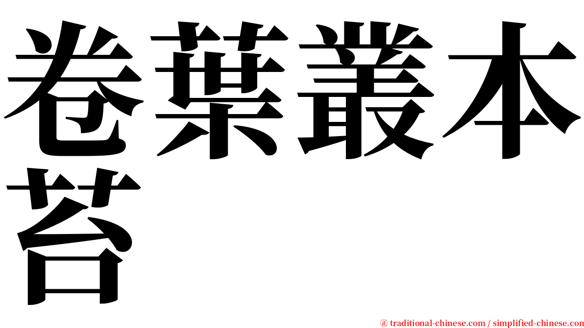 卷葉叢本苔 serif font