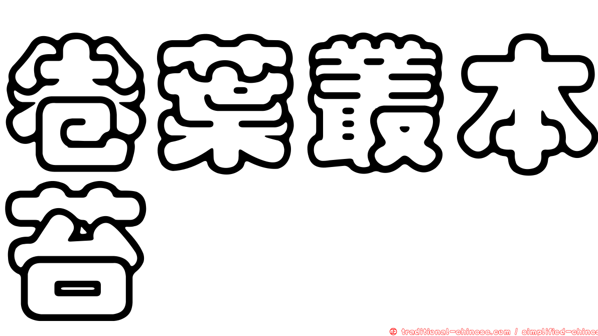 卷葉叢本苔