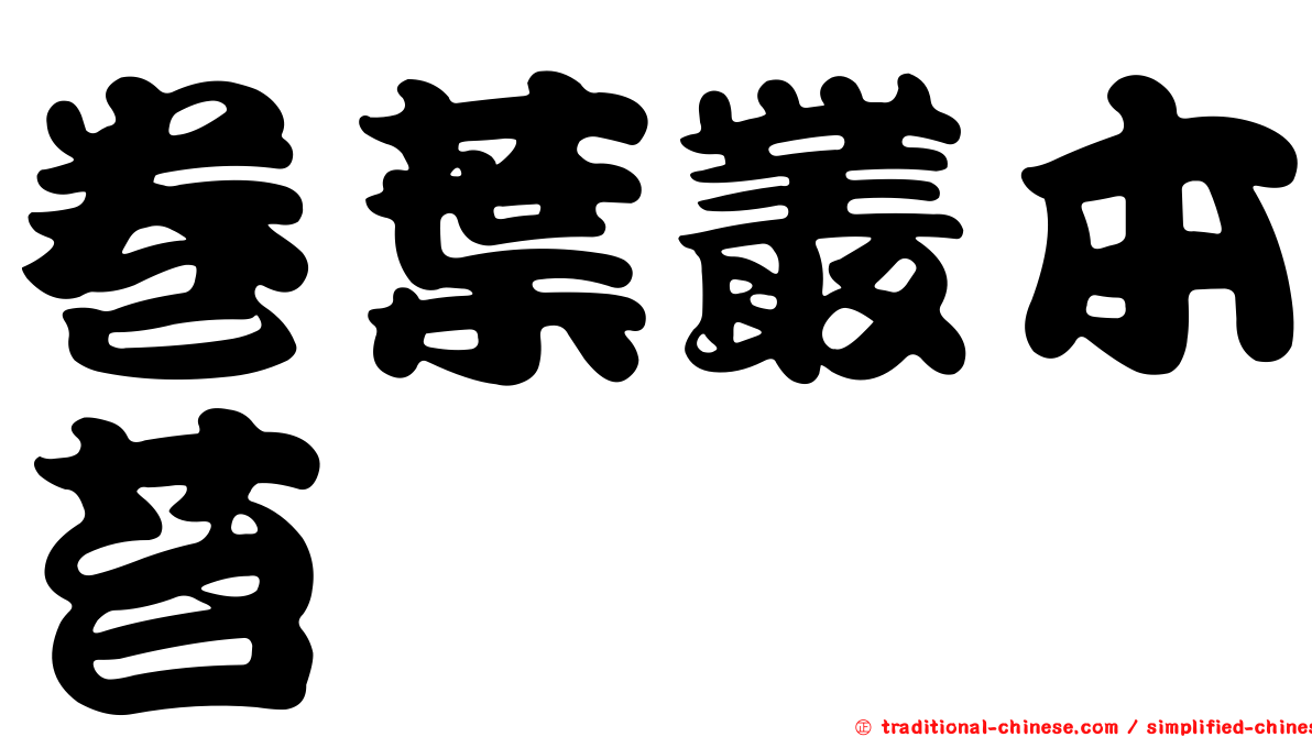 卷葉叢本苔