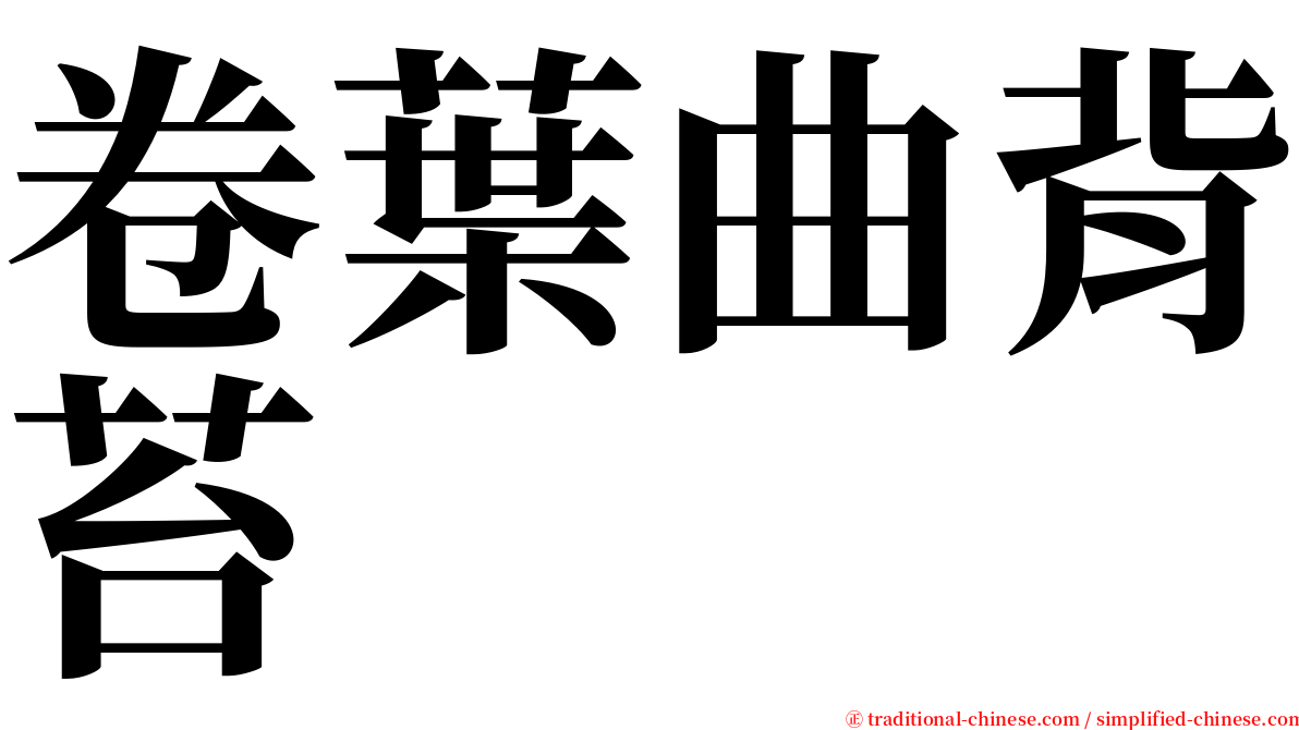 卷葉曲背苔 serif font