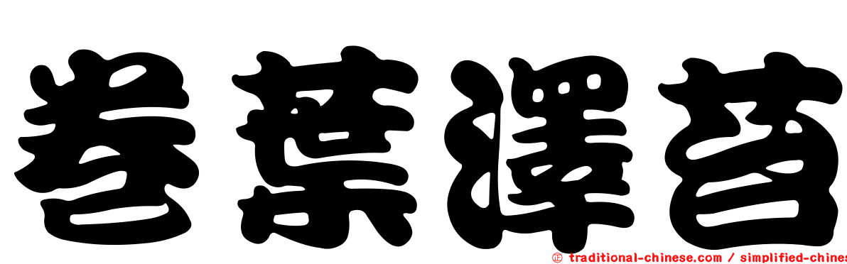 卷葉澤苔