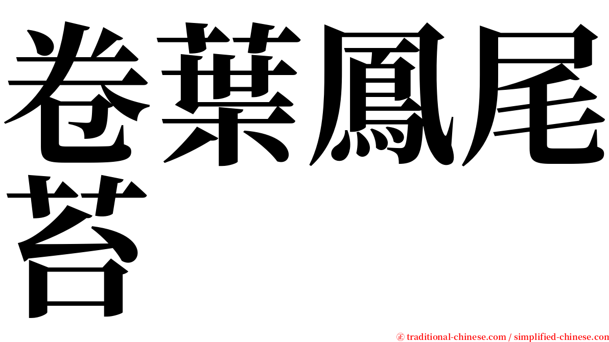卷葉鳳尾苔 serif font