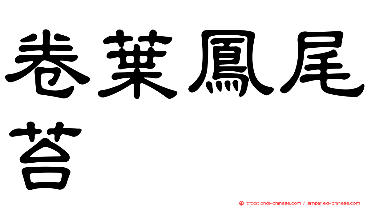 卷葉鳳尾苔
