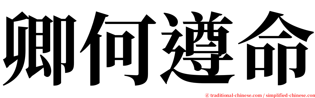 卿何遵命 serif font