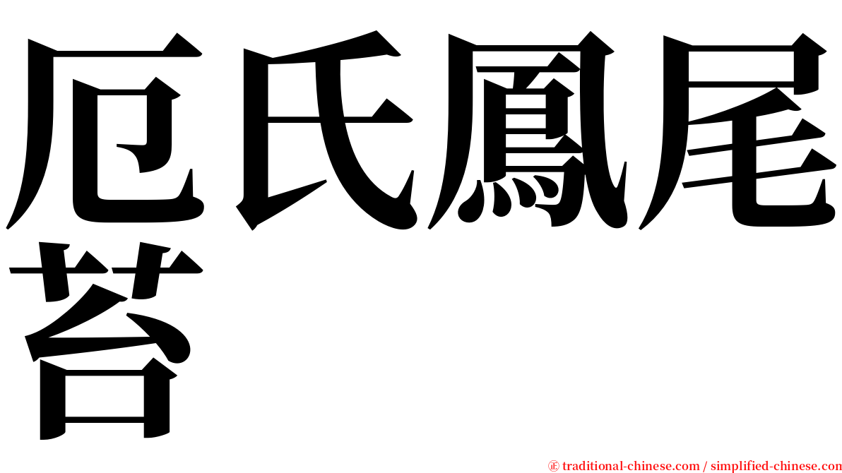 厄氏鳳尾苔 serif font