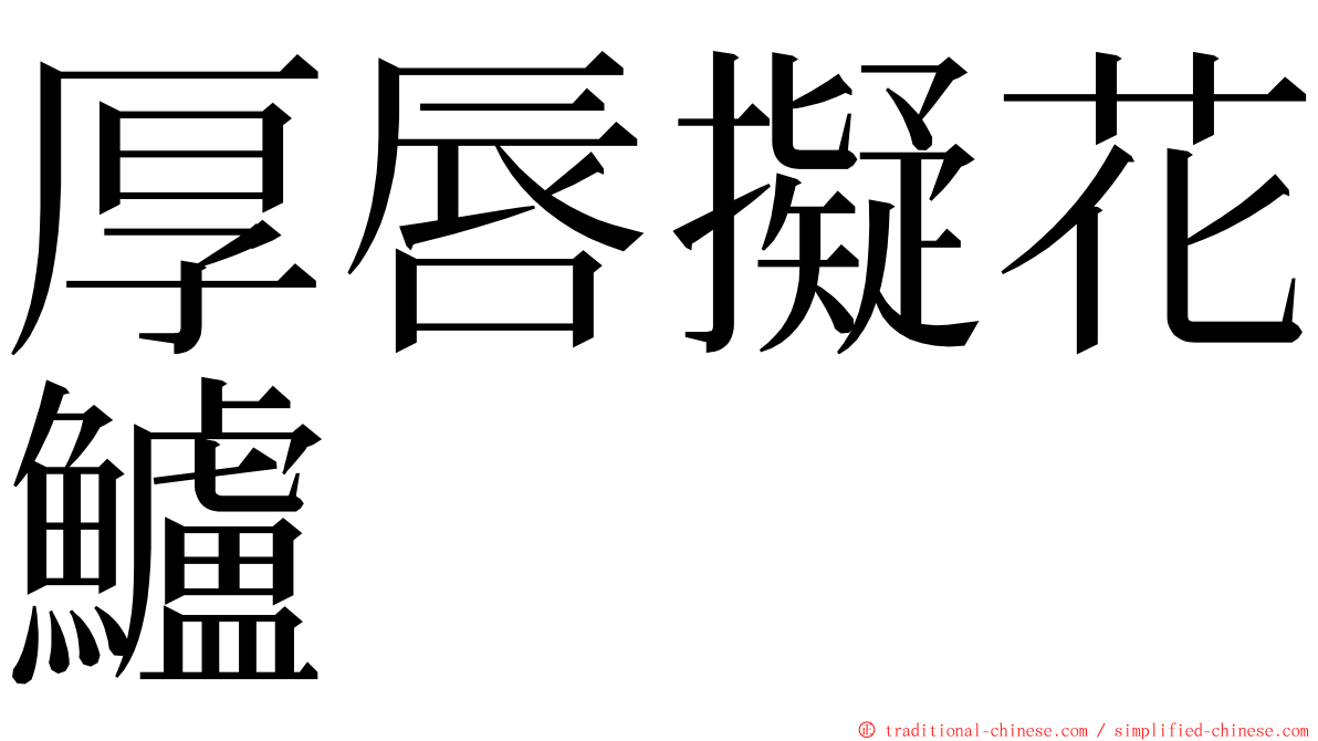 厚唇擬花鱸 ming font