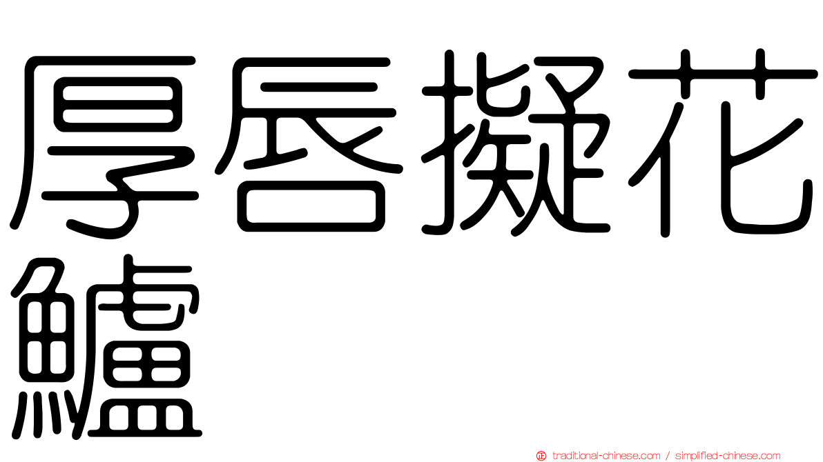厚唇擬花鱸