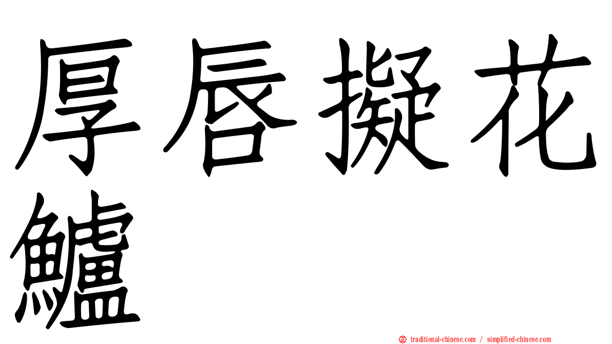 厚唇擬花鱸