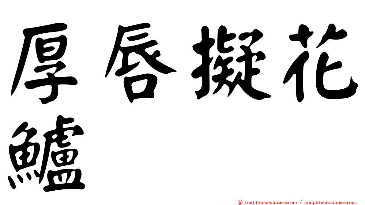 厚唇擬花鱸
