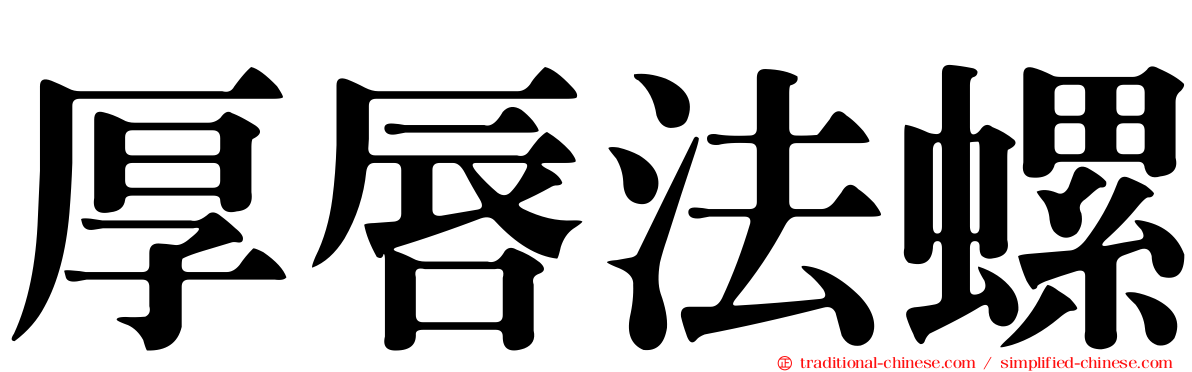 厚唇法螺