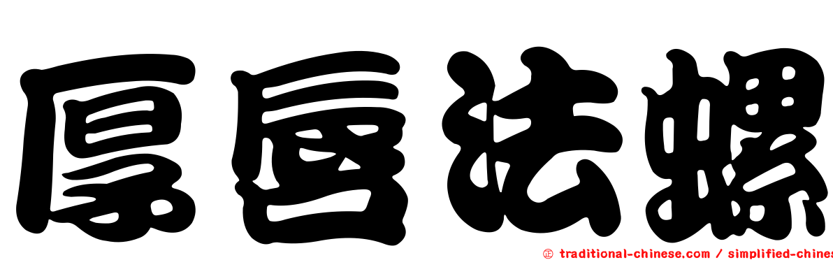 厚唇法螺