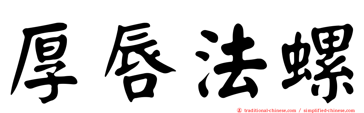 厚唇法螺