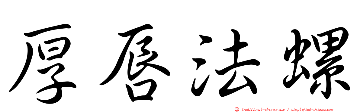 厚唇法螺
