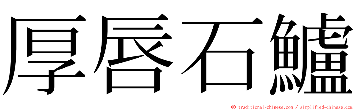 厚唇石鱸 ming font