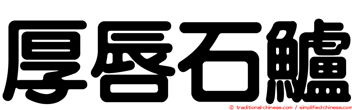 厚唇石鱸