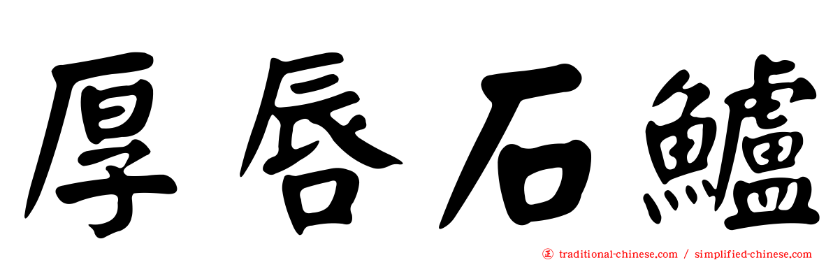厚唇石鱸