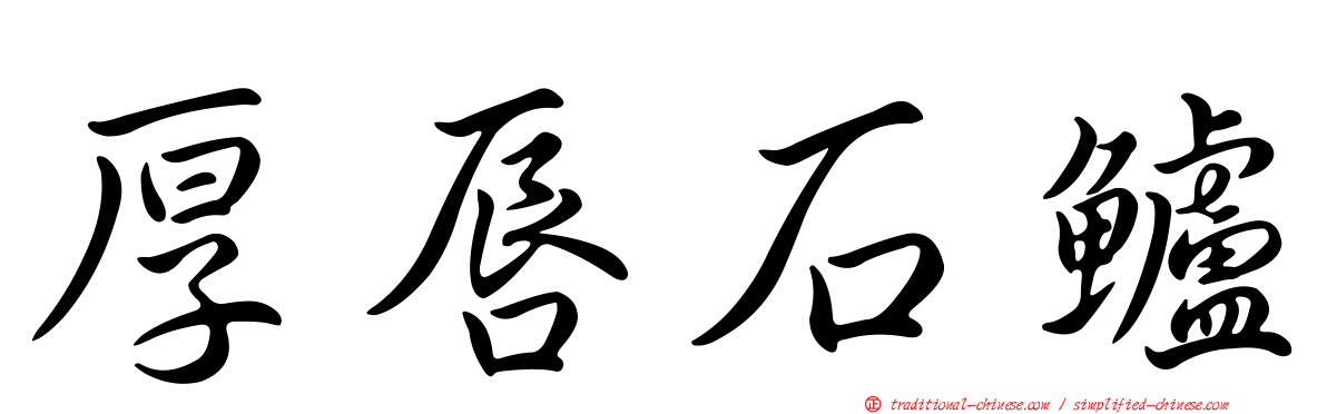 厚唇石鱸