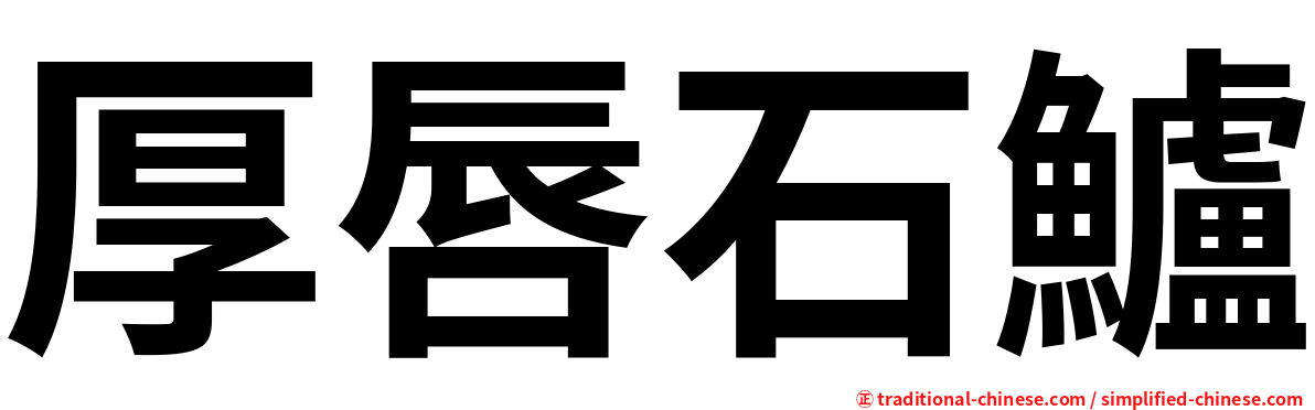 厚唇石鱸