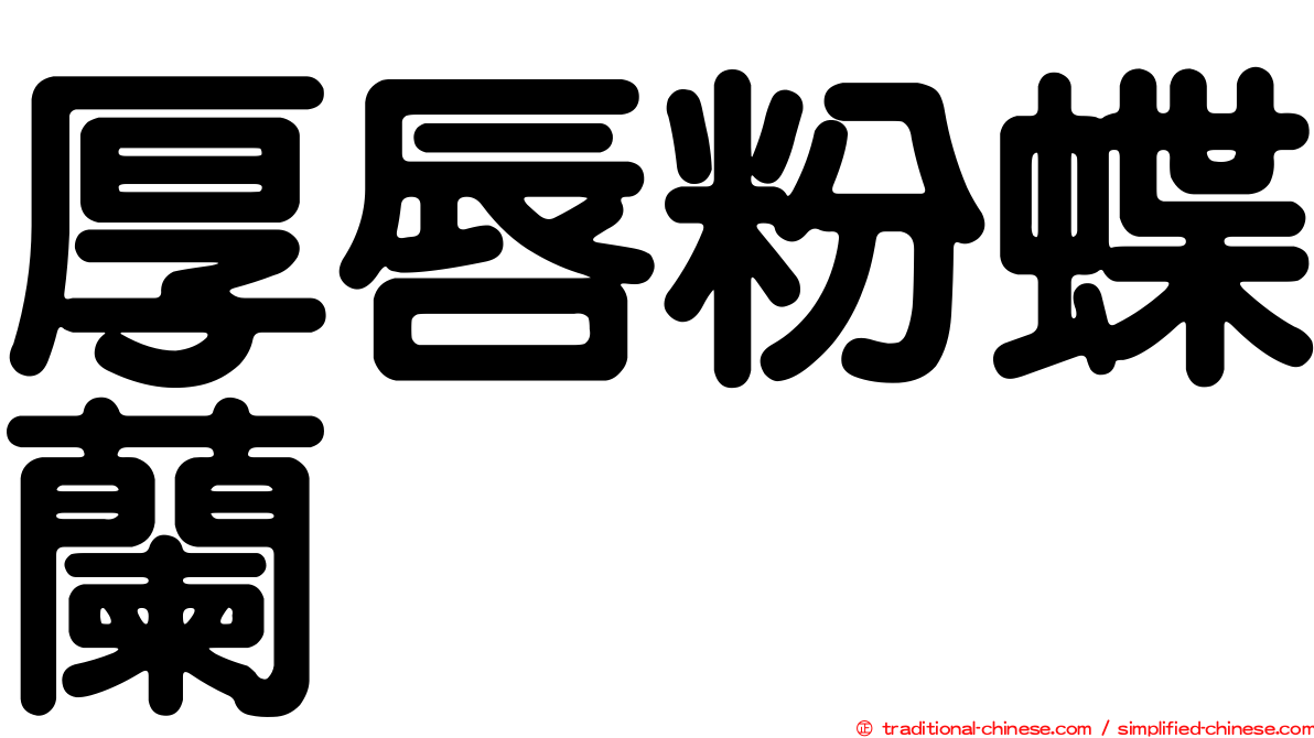 厚唇粉蝶蘭