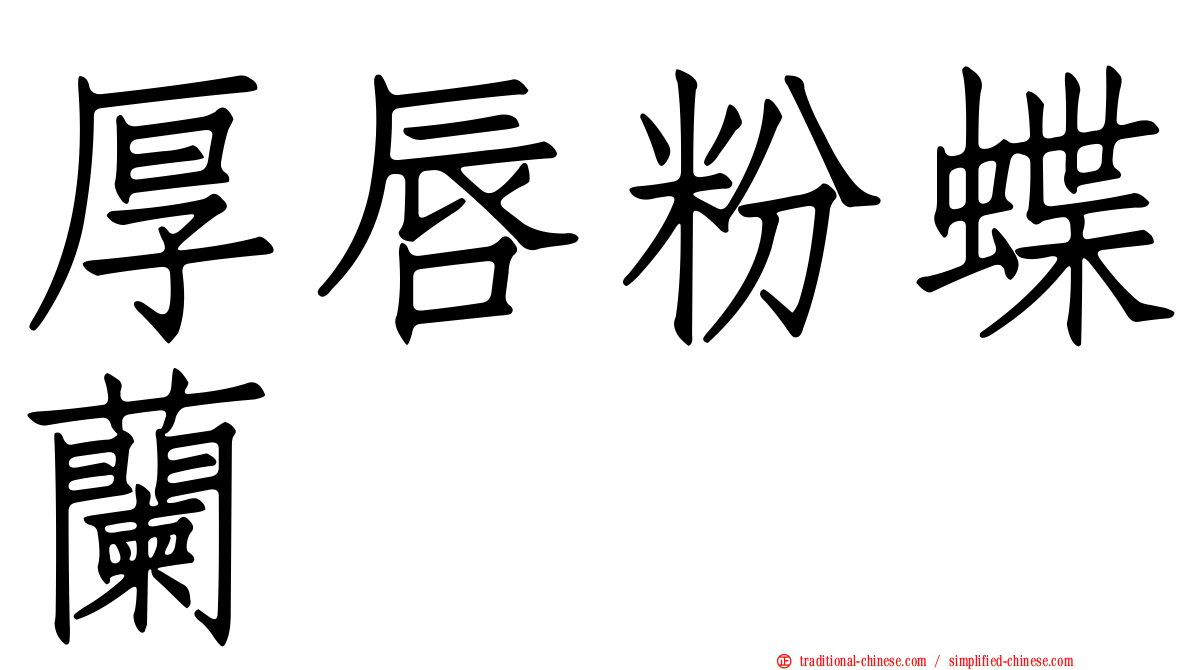 厚唇粉蝶蘭