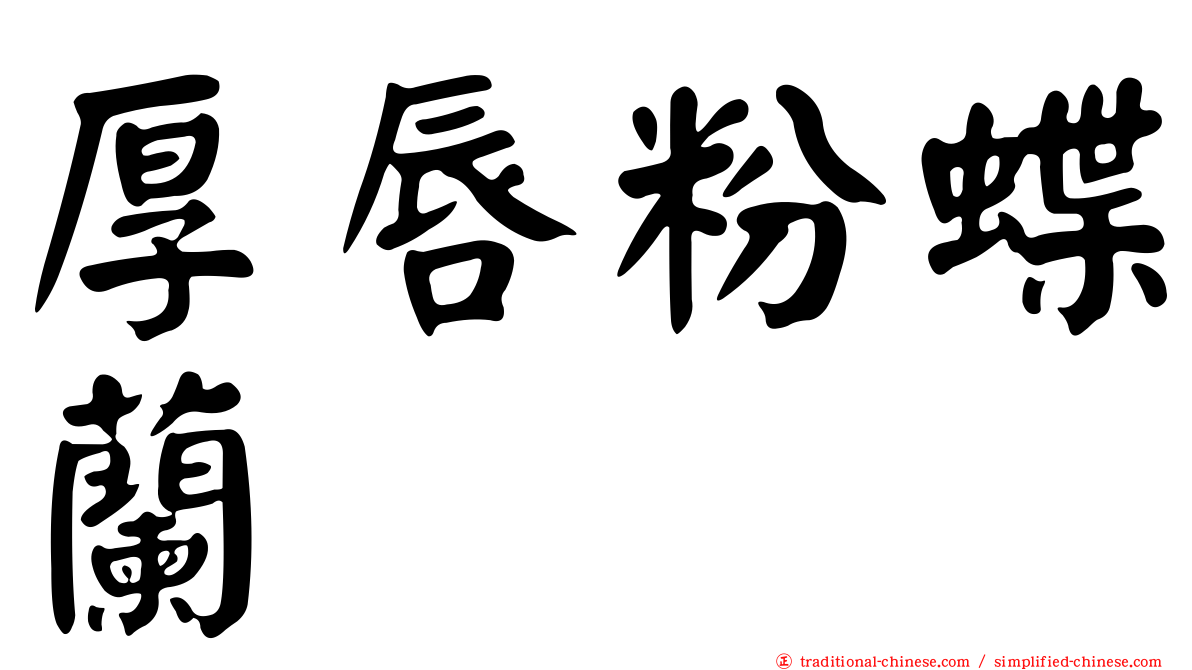 厚唇粉蝶蘭