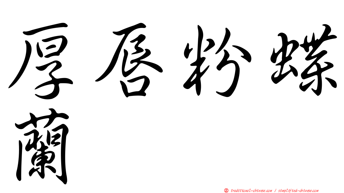 厚唇粉蝶蘭
