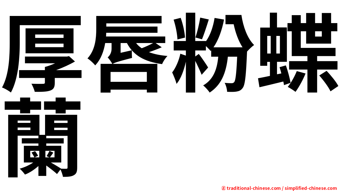 厚唇粉蝶蘭