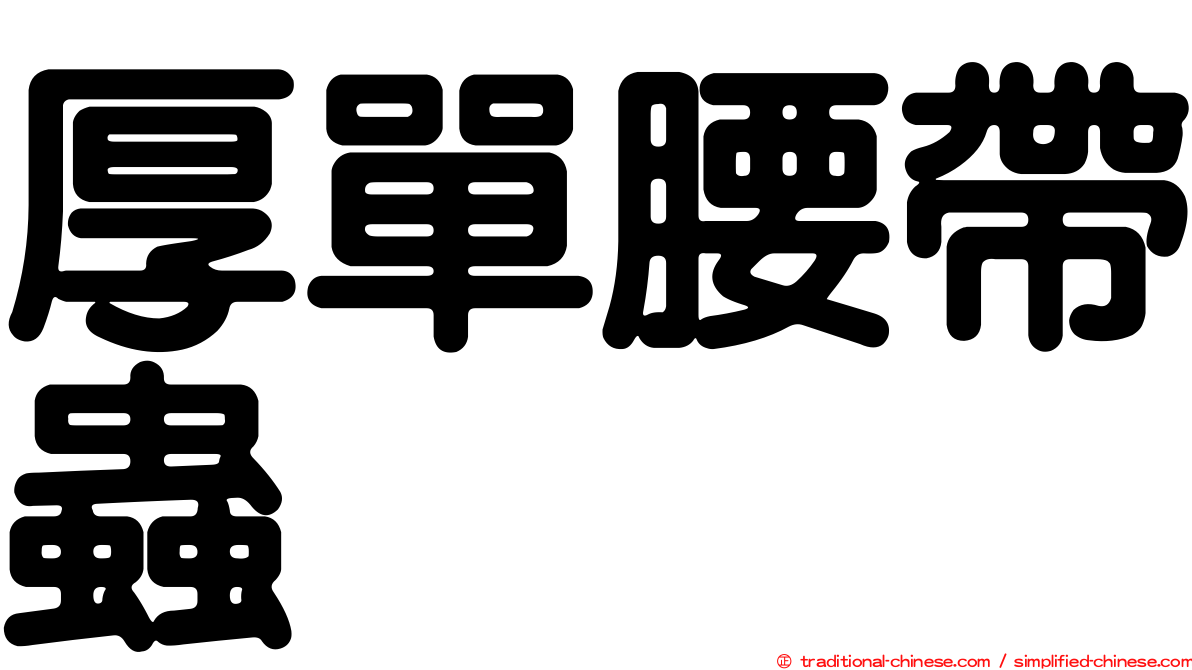厚單腰帶蟲