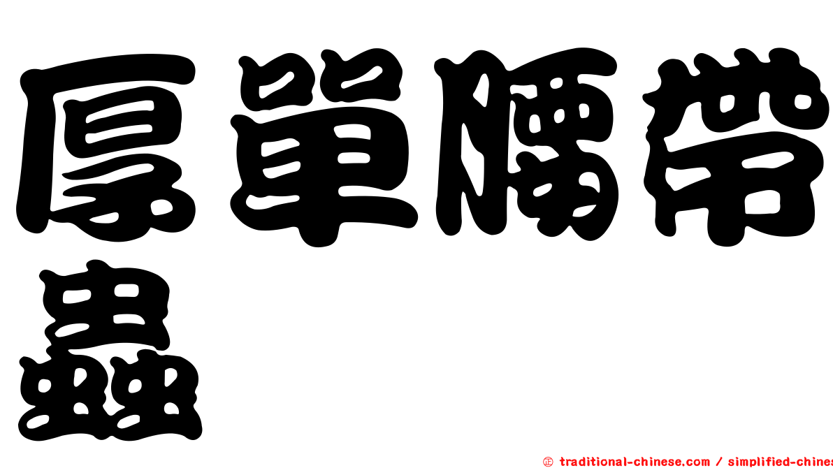厚單腰帶蟲