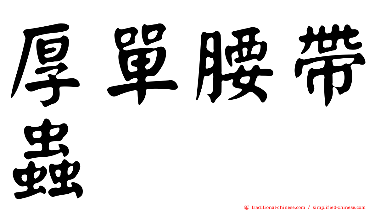 厚單腰帶蟲