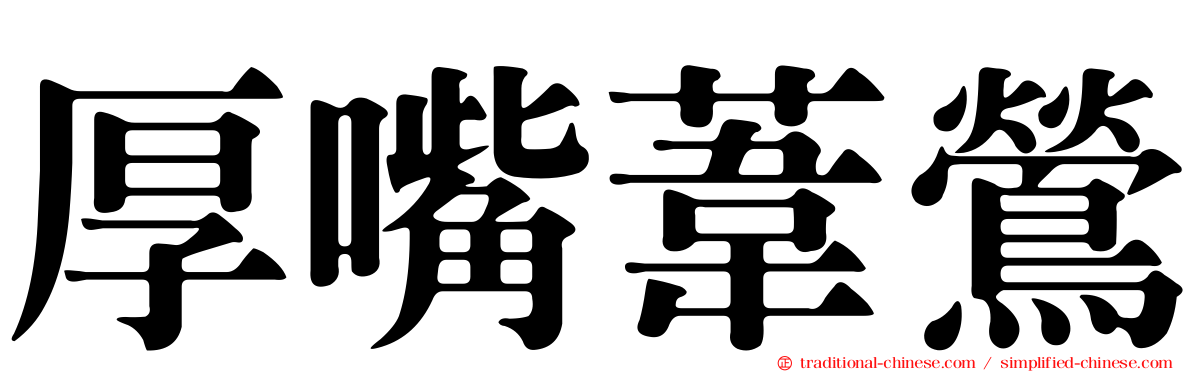 厚嘴葦鶯