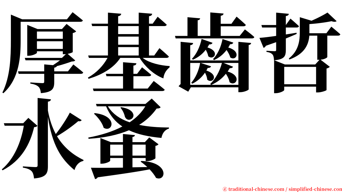 厚基齒哲水蚤 serif font
