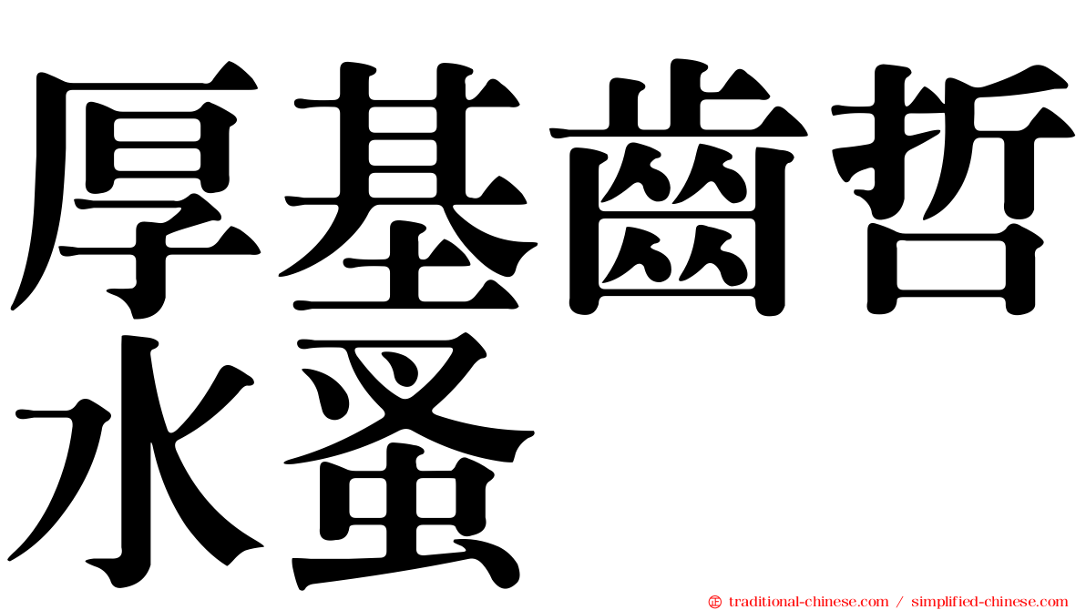 厚基齒哲水蚤